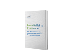 Relief to Resilience Mockup-1